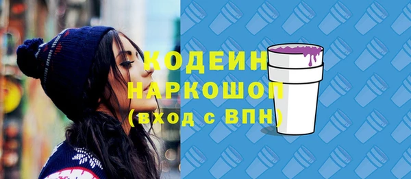 хмурый Михайловск