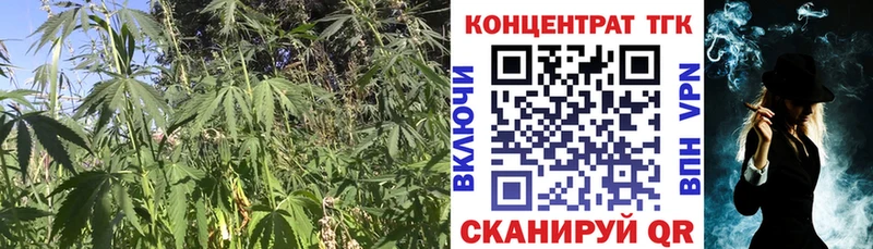 площадка наркотические препараты как найти закладки Новая Ляля ТГК Wax OMG сайт